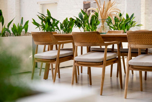 Teak Wood (Chairs)